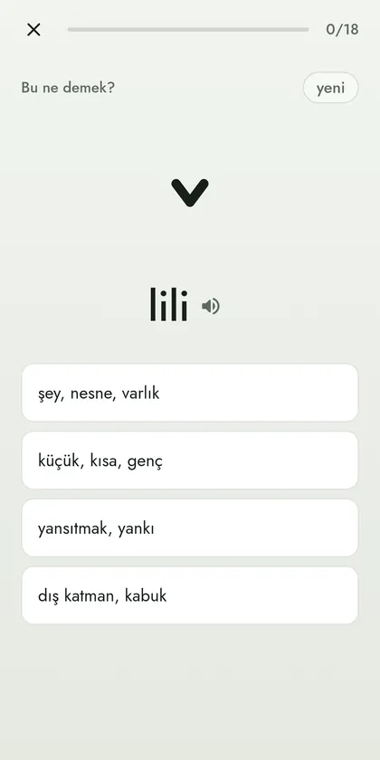 Toki Pona ekran görüntüsü 3